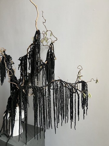 Амарант стабилизированный черный