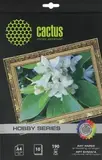 Фотобумага Cactus CS-DA419010 A4/190г/м2/10л. матовое апельсин для струйной печати