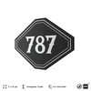Номерок на дверь квартиры 787, для кабинета, офиса, шильдик 9 х 7 см, черный, Айдентика Технолоджи