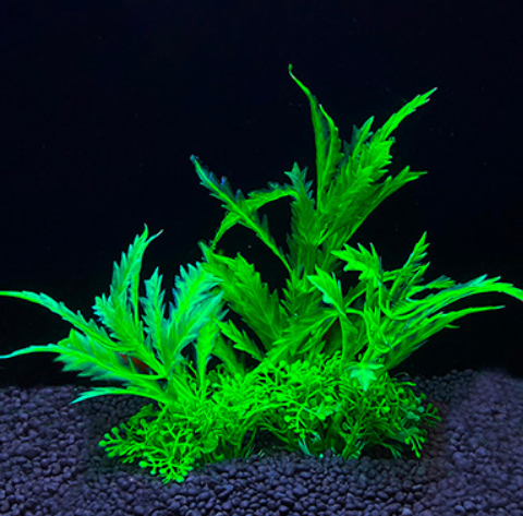 Искусственное аквариумное растение Кустик, 8х5х14 см, P517