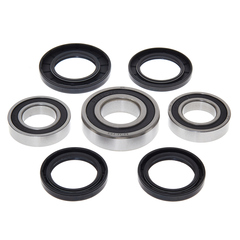 Комплект подшипников и сальников заднего колеса CHAKIN CH25-1392