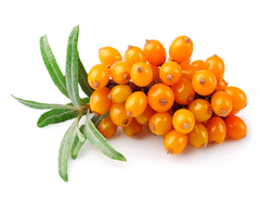 Пюре фруктовое Proff Puree в саше ОБЛЕПИХА 250 гр. замороженное