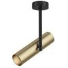 Потолочный светильник Technical Elti C020CL-01GB