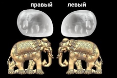Силиконовый молд Слон 2 D правый малый и левый малый . Набор 2 шт