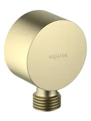 Aquatek AQ2457BG AQ2457BG шланговое подсоединение, шлиф. золото фото