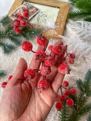 Ягоды Шиповника зонтиком в сахарной обсыпке, на ветке 9 ягод по 15 мм, набор 5 шт.