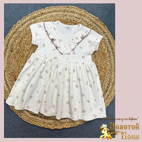 Платье хл/трикотаж д (2-6) 260123-WQ272