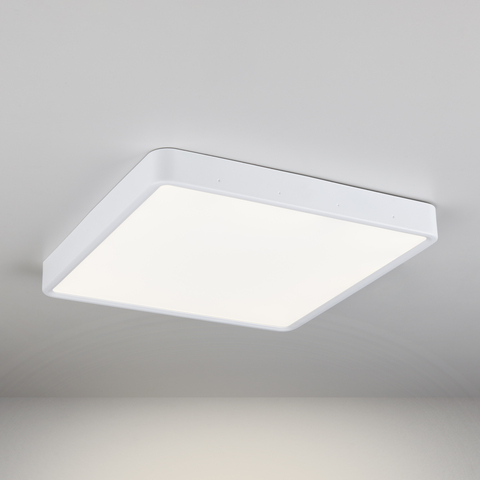 Накладной потолочный светодиодный светильник Elektrostandard DLS034 24W 4200K Белый