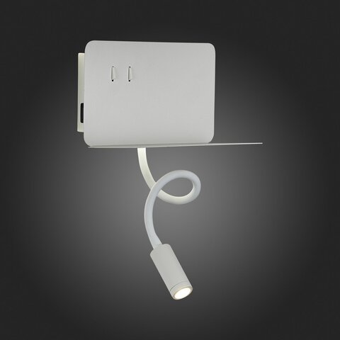Светильник настенный ST Luce Pinaggio SL1576.501.02