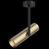 Потолочный светильник Technical Elti C020CL-01GB