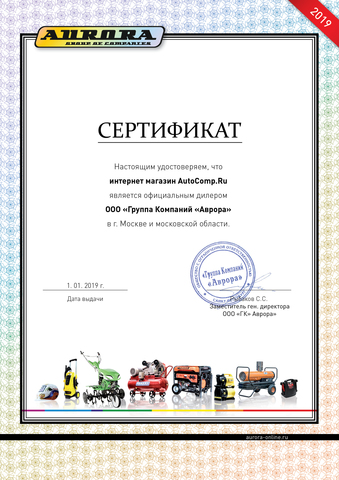 Бензиновый генератор с блоком автоматики Aurora AGE 12000 DZN PLUS