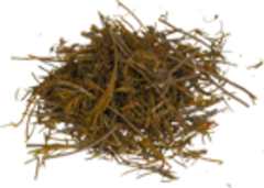 Багульник (побеги, 50 гр.) (Старослав)