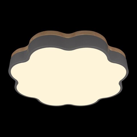 Потолочный светодиодный светильник Loft It Axel 10225/36 Grey