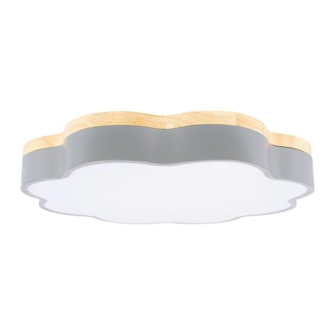 Потолочный светодиодный светильник Loft It Axel 10225/36 Grey