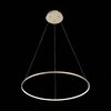Светильник подвесной ST Luce Erto SL904.213.01