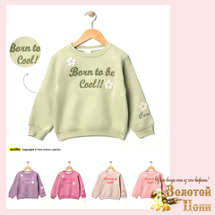 Свитшот начес д (3-6) 251105-R1061