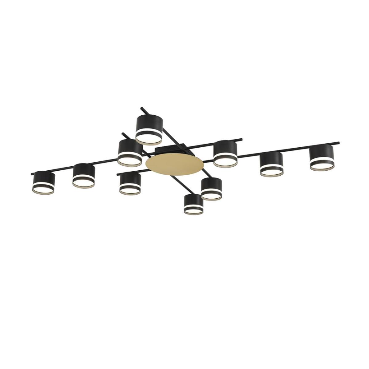 Светильник потолочный Lumion BENUA 8304/10C