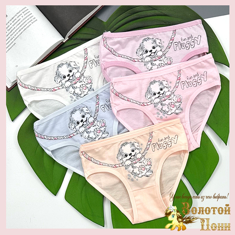 Трусики девочке (2-6) 260310-W1151