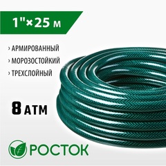 РОСТОК 1
