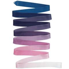 Лента PASTORELLI с переходом цвета ARCHE' PLATINUM 5м FIG