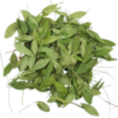 Барвинок (трава, 30гр.) (Старослав)