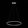 Светильник подвесной ST Luce Erto SL904.213.01