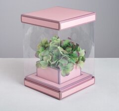 Коробка аквариум «Вдохновение», 16 х 23 х 16 см