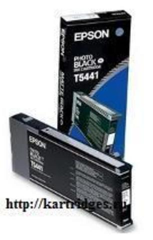 Картридж Epson C13T544100
