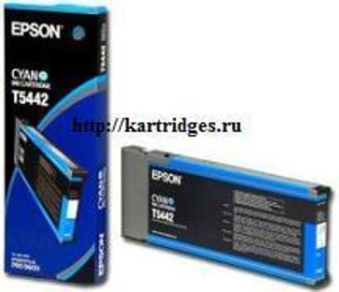 Картридж Epson C13T544200