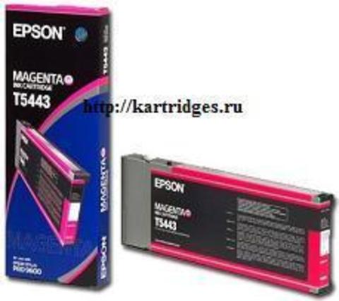 Картридж Epson C13T544300
