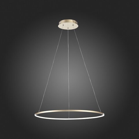 Светильник подвесной ST Luce Erto SL904.213.01