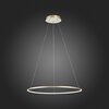 Светильник подвесной ST Luce Erto SL904.213.01