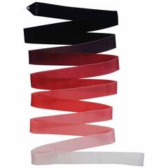 Лента PASTORELLI с переходом цвета ARCHE' PLATINUM 5м FIG