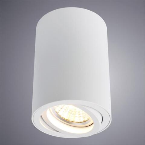 Накладной светильник Arte Lamp SENTRY A1560PL-1WH