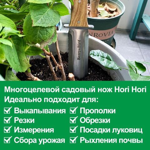 Нож Хори Хори Berry&Bird