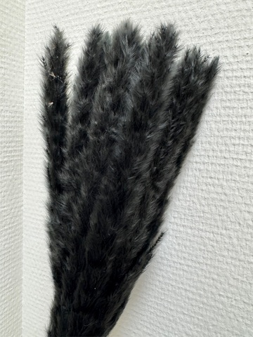 МИНИ Пампасная трава Серо-черный (колосок 20-30см - цена за 15шт)