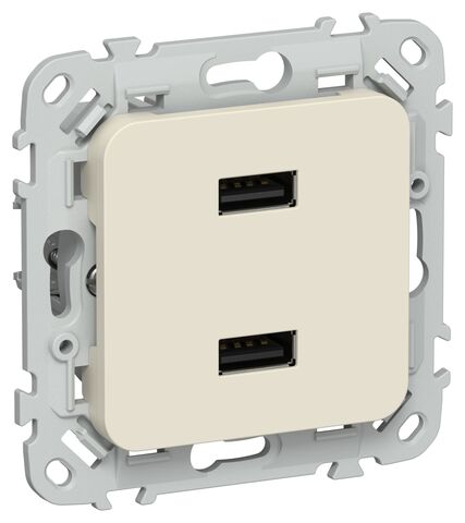 FLITE Роз. USB AA 2,1А РЮ-2-ФлСл сл IEK