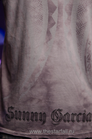Affliction | Футболка мужская Sunny Garcia Tee Grey Signature Series A600GR принт на спине