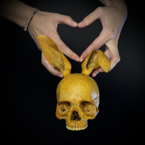 Соблазнительный Кролик - череп Плейбой