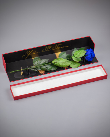 Роза Премиум в подарочной коробке(красная) комплимент .Бутон синий.
