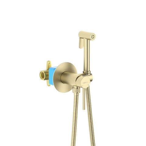 Aquatek AQ1021BG AQ1021BG ЕВРОПА комплект для гигиенического душа встроенный (смеситель + гигиеническая лейка + шланг), шлиф. золото