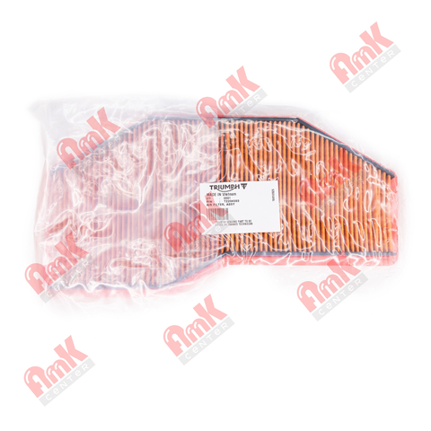 Фильтр воздушный OEM Triumph T2204093