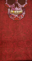 Бандана-труба с черепом Skully Mexican skull red paisley - 2