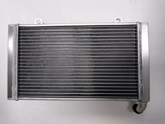 Радиатор для охлаждения Honda CBF1000 / ABS 2006 - 2009