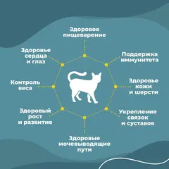 Родные Корма заморские паучи для кошек филе тунца с курицей в соусе по-тайски 70 г