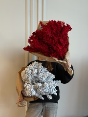 охапка снежные ветки красные