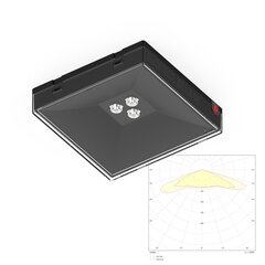 Потолочный черный аварийный светильник Moncato OT621 SOL IP65 BLACK