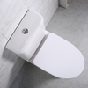 Унитаз-компакт безободковый BelBagno STEAM BB130CPR + BB130T