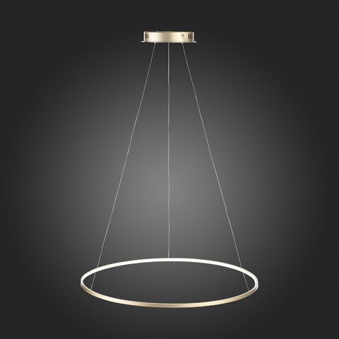 Светильник подвесной ST Luce Erto SL904.213.01