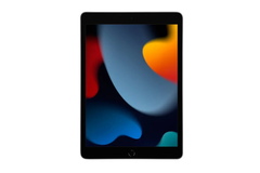 Планшет APPLE 10.2-inch iPad Wi-Fi + Cellular 256GB - Space Grey (MK4E3RK/A)